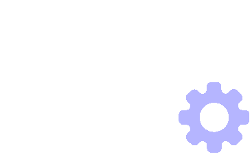 Launch and Continuous Support